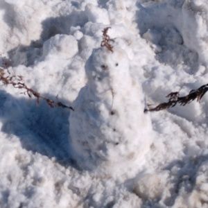 Meet your Posher, Akilo